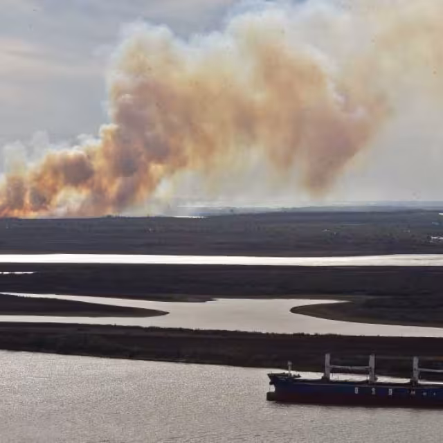 El Derecho obliga a los Estados a cuidar el planeta