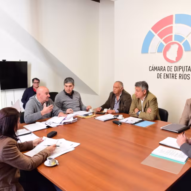 Dictamen favorable de Comisión de Diputados sobre licencia de Abogados y Procuradores