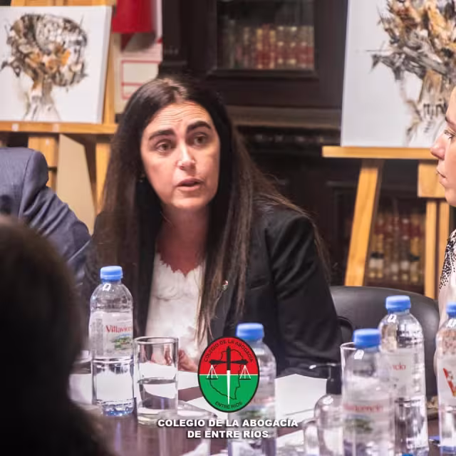 El Colegio de la Abogacía fue a Diputados por la Ley de Honorarios